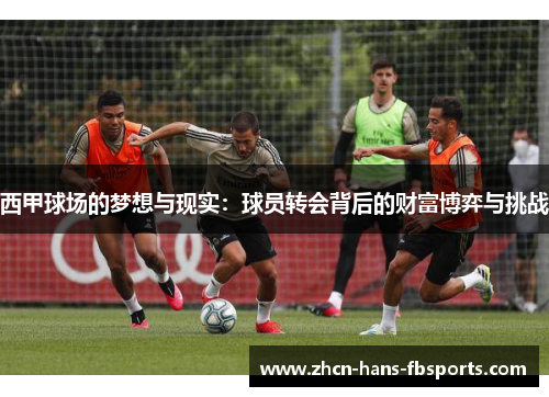 西甲球场的梦想与现实：球员转会背后的财富博弈与挑战